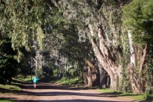 Último fin de semana de vacaciones de invierno: las propuestas para disfrutar en La Costa