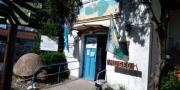 “Pequeños Científicos”: una tarde para descubrir la paleontología en el Museo de Mar de Ajó