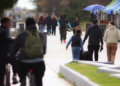 Ferias y museos para visitar en el último fin de semana de las vacaciones de invierno