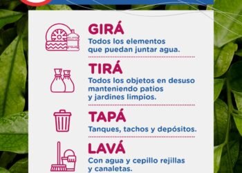 Medidas de prevención para evitar la reproducción del mosquito transmisor del dengue
