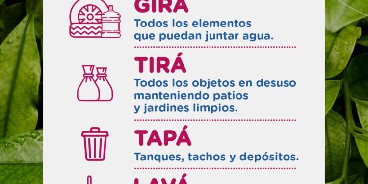 Medidas de prevención para evitar la reproducción del mosquito transmisor del dengue