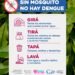 Medidas de prevención para evitar la reproducción del mosquito transmisor del dengue
