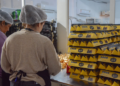 Llega un nuevo «Fin de Semana de la Producción Local» con descuentos especiales para residentes