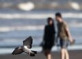 Agenda de actividades para disfrutar el fin de semana en La Costa