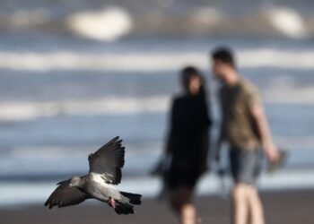 Agenda de actividades para disfrutar el fin de semana en La Costa