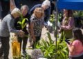 El programa EcoCanje entregó 1.800 plantas y recuperó más de 9.000 envases plásticos