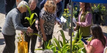 El programa EcoCanje entregó 1.800 plantas y recuperó más de 9.000 envases plásticos