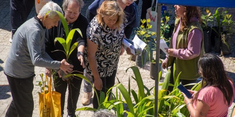 El programa EcoCanje entregó 1.800 plantas y recuperó más de 9.000 envases plásticos