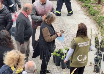 Se reprogramaron las fechas del canje de botellas de plástico por plantines en Mar del Tuyú