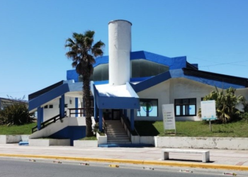 Cinco botellas por un plantín: el EcoCanje llega a San Bernardo
