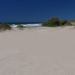 Comienzan las jornadas abiertas para abordar la erosión costera y el futuro de las playas